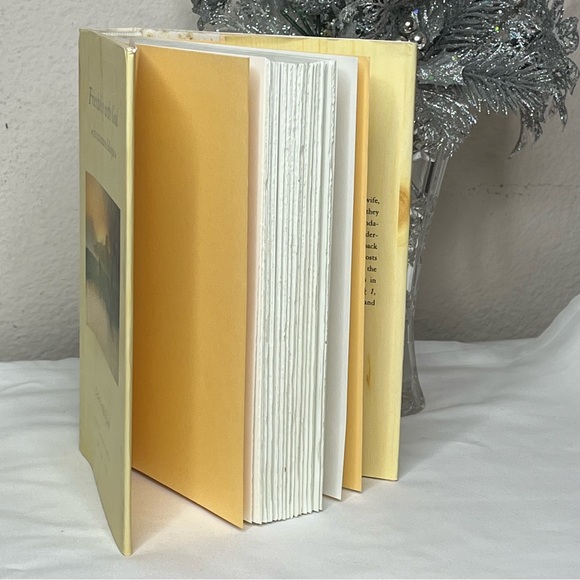 Friendship with God: An Uncommon Dialogue by Neale Donald Walsch Book - Picture 3 of 8